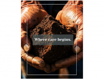 International Tea Day 21 May: From Soil to Spirit