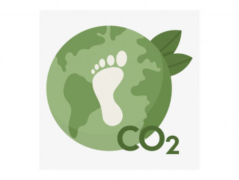 Tea Industry Unveils Custom Typology in Cool Farm Platform