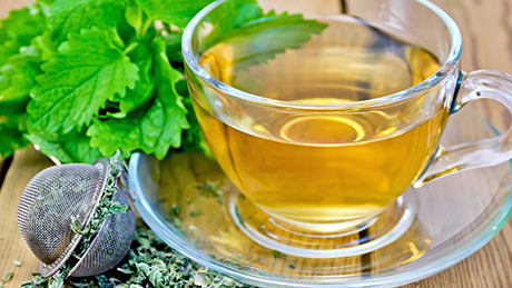 Lemon Balm Tea