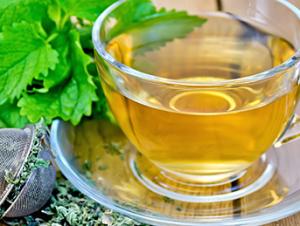 Lemon Balm Tea